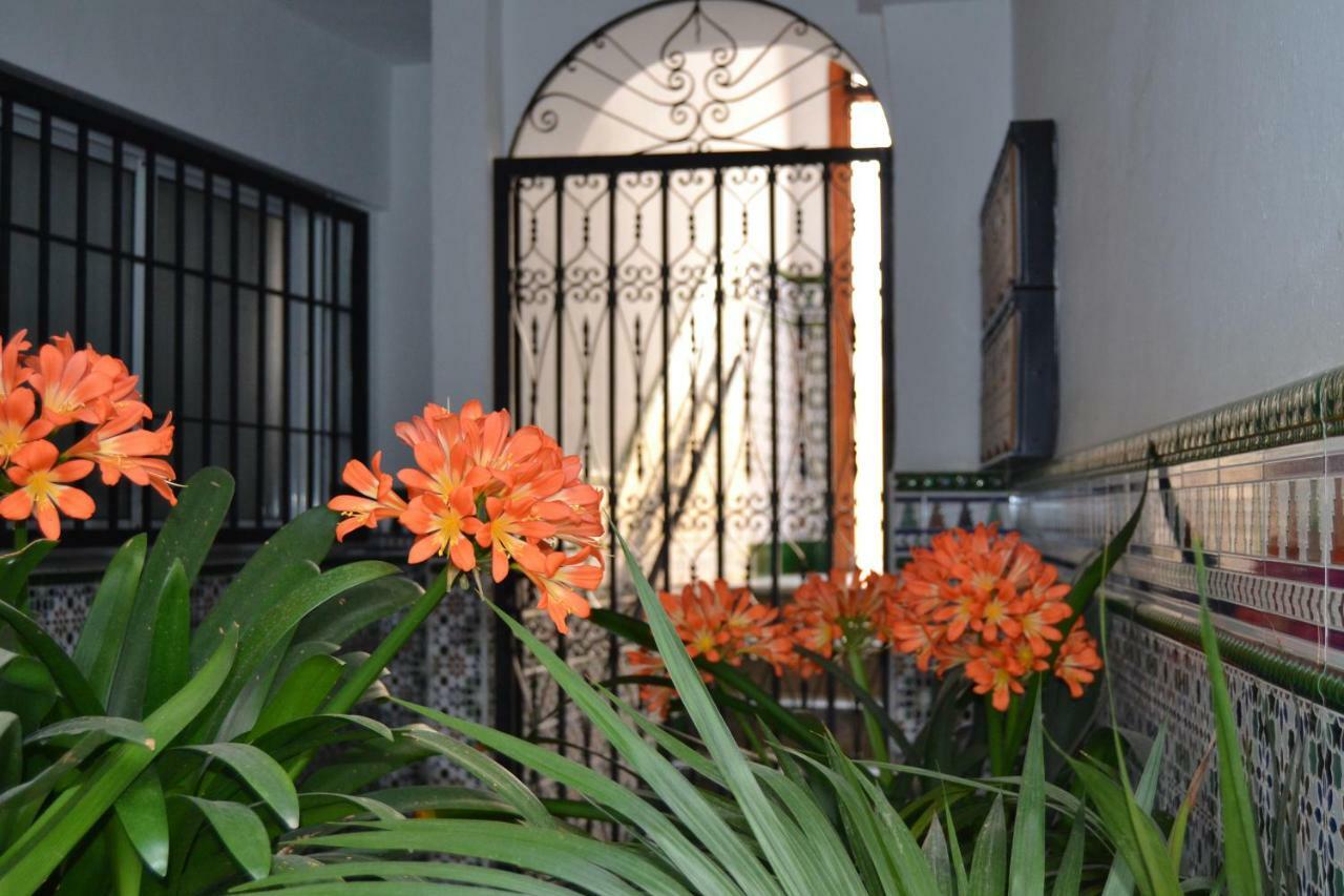Nuevo Sueno Del Alcazar Daire Cordoba Dış mekan fotoğraf