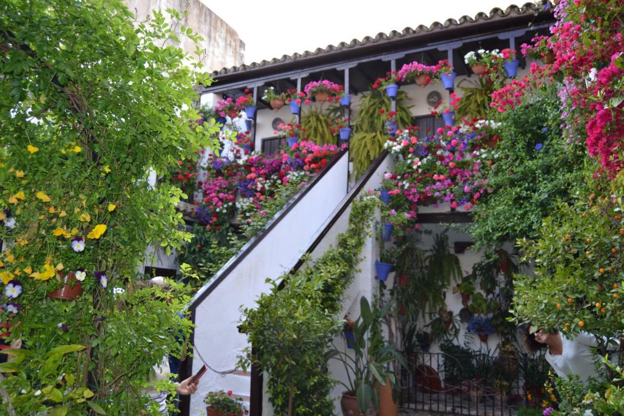 Nuevo Sueno Del Alcazar Daire Cordoba Dış mekan fotoğraf